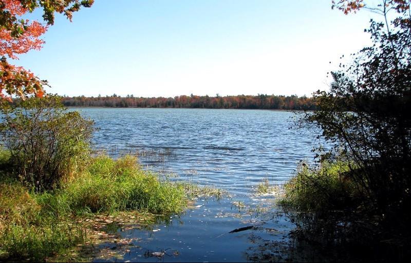 Beachfront Hotel Houghton Lake Natur bild