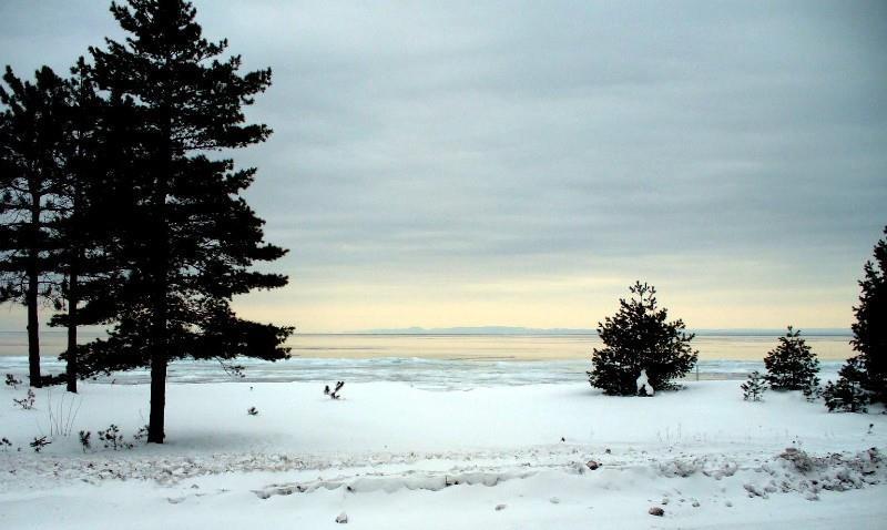 Beachfront Hotel Houghton Lake Natur bild
